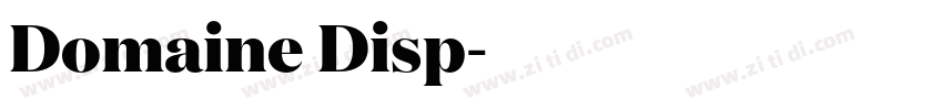 Domaine Disp字体转换